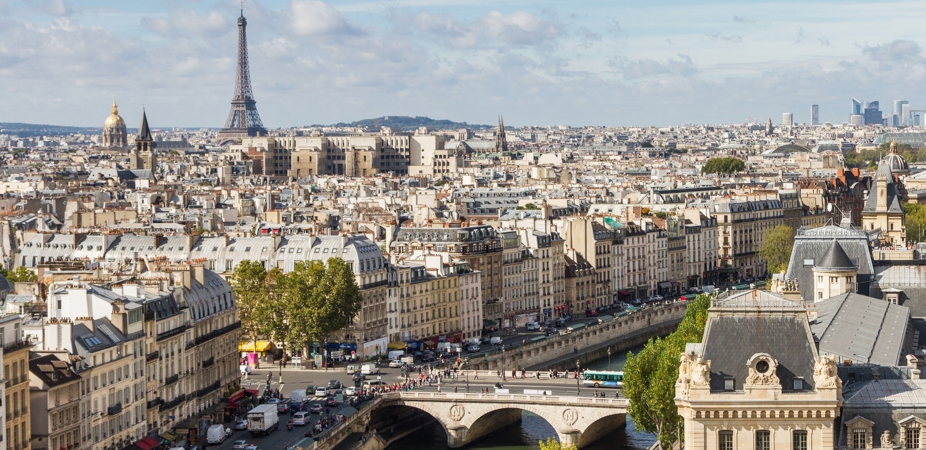 Paris seen from the top of Notre Dame