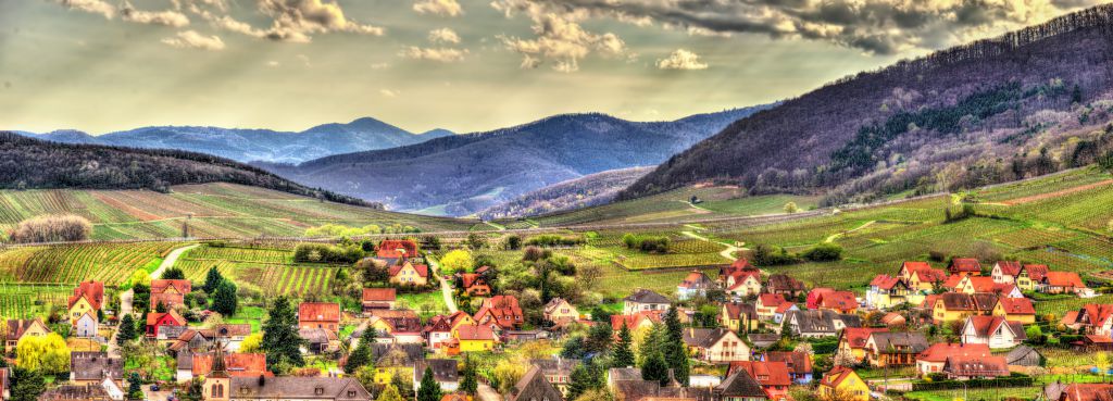 Famous wine route in the Vosges mountains - Alsace, France